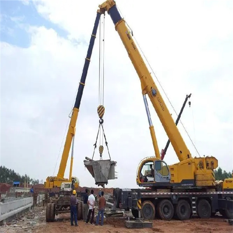 田阳小型吊机出租电话|厂房设备吊装方案|24小时服务覆盖