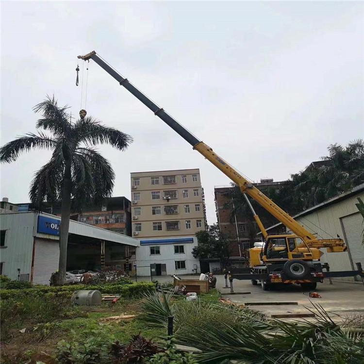 田阳吊车吊大树几种方法